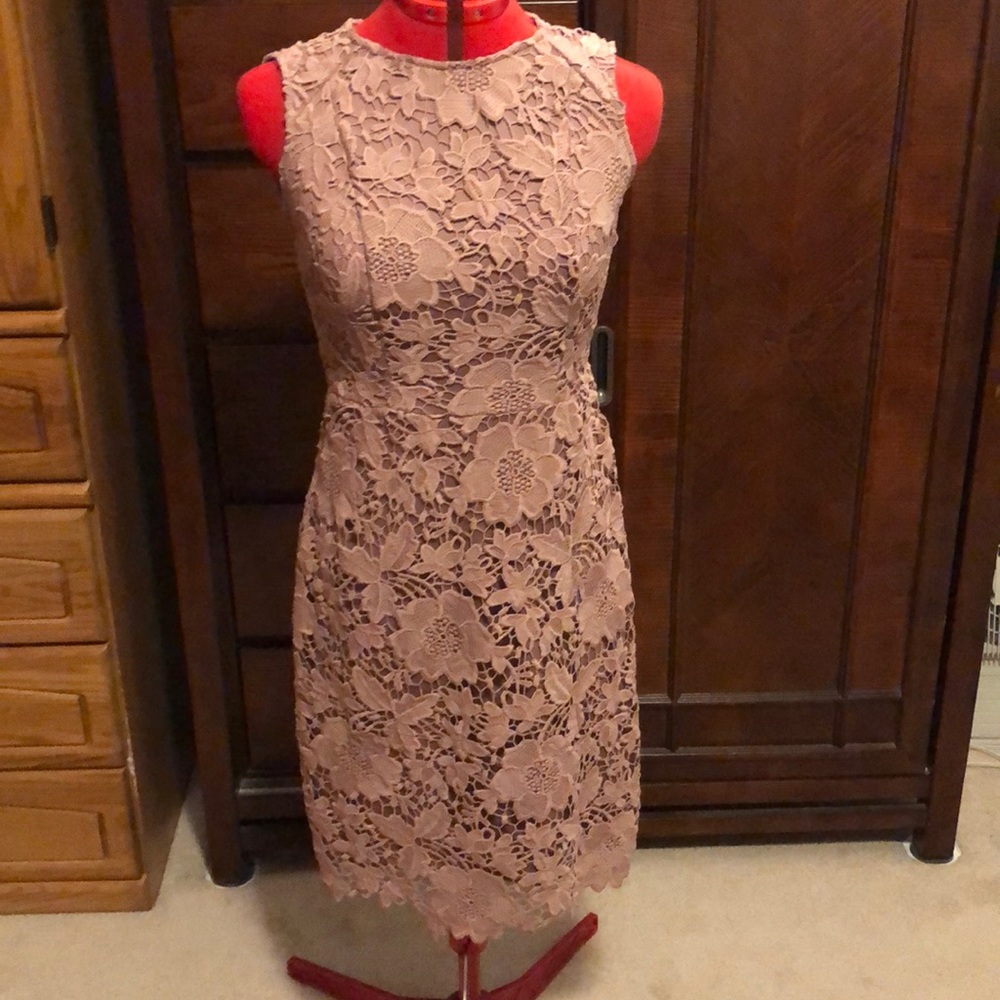 Ryan Michelle Dusty Rose Lace Overlay Dress